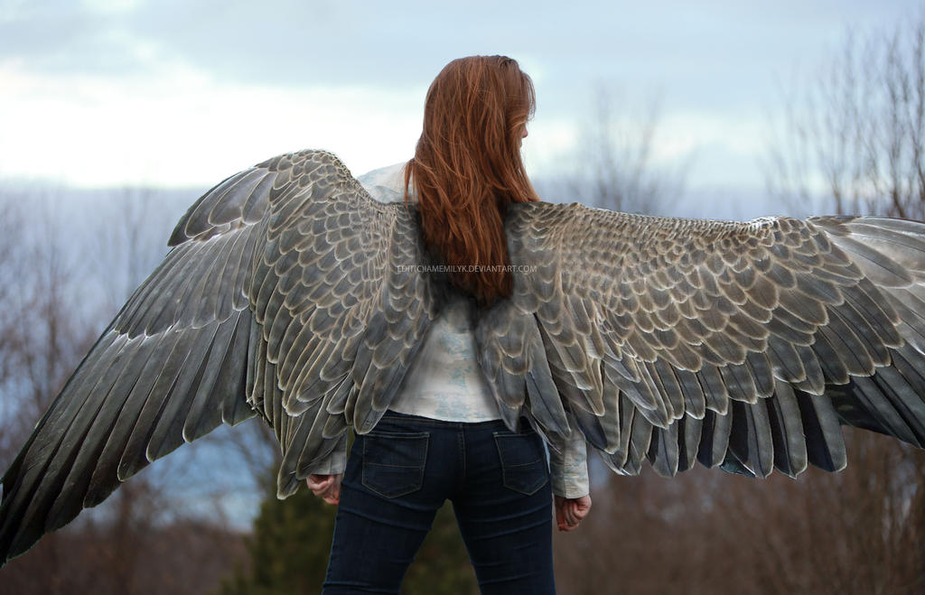 The Name's Max, Maximum Ride