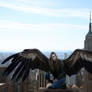 Maximum Ride Takes New York