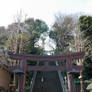 Atago Shrine, Tokyo, Japan