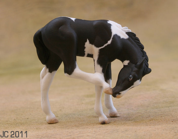 Cm Breyer G2 Foal Black Pinto