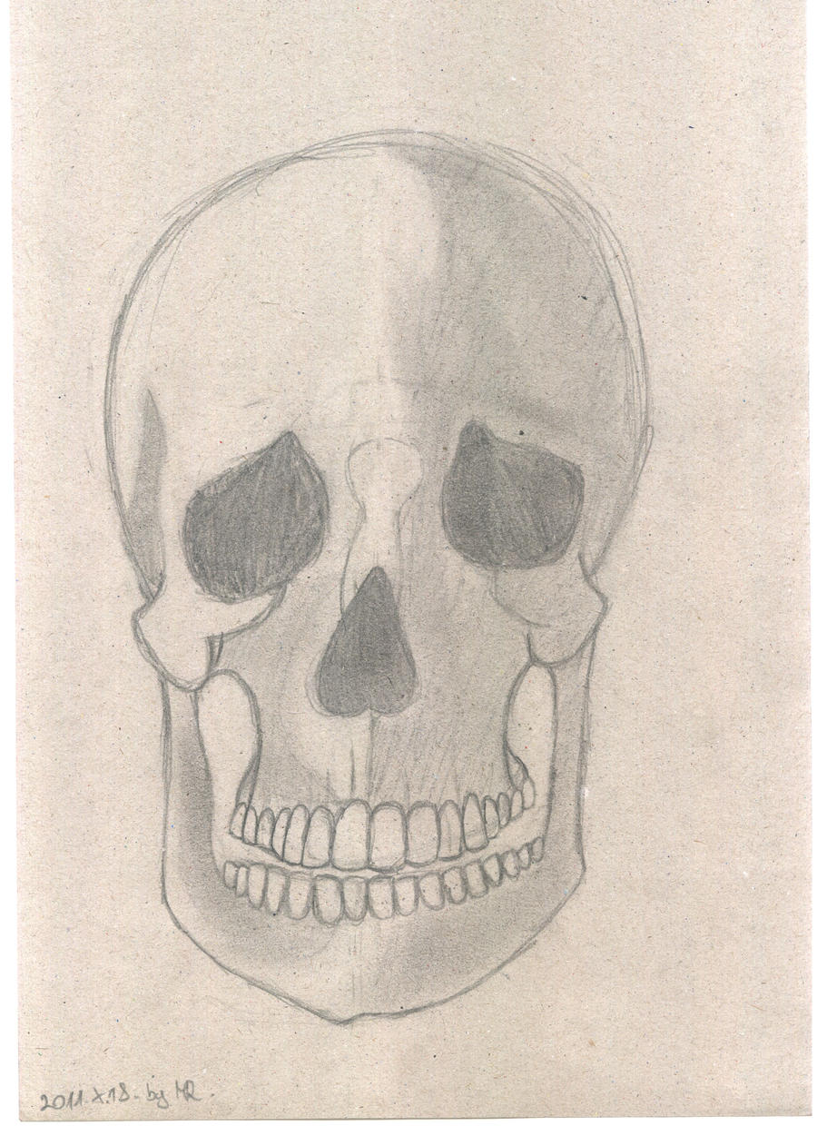 Skull