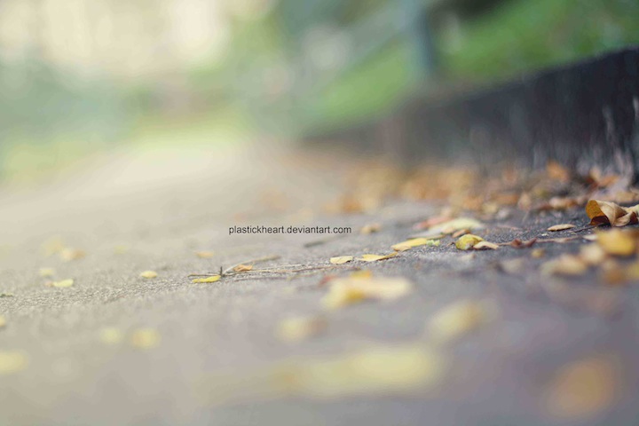 autumn days by plastickheart