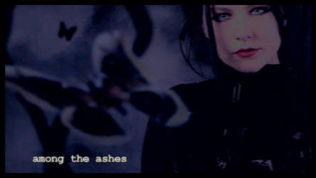 among the ashes