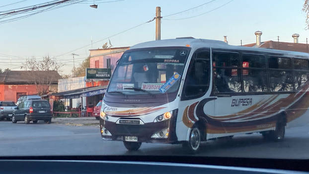 Micro Bupesa 2