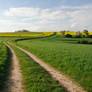 Field Track at Schwuerbitz