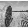 Straw Bales