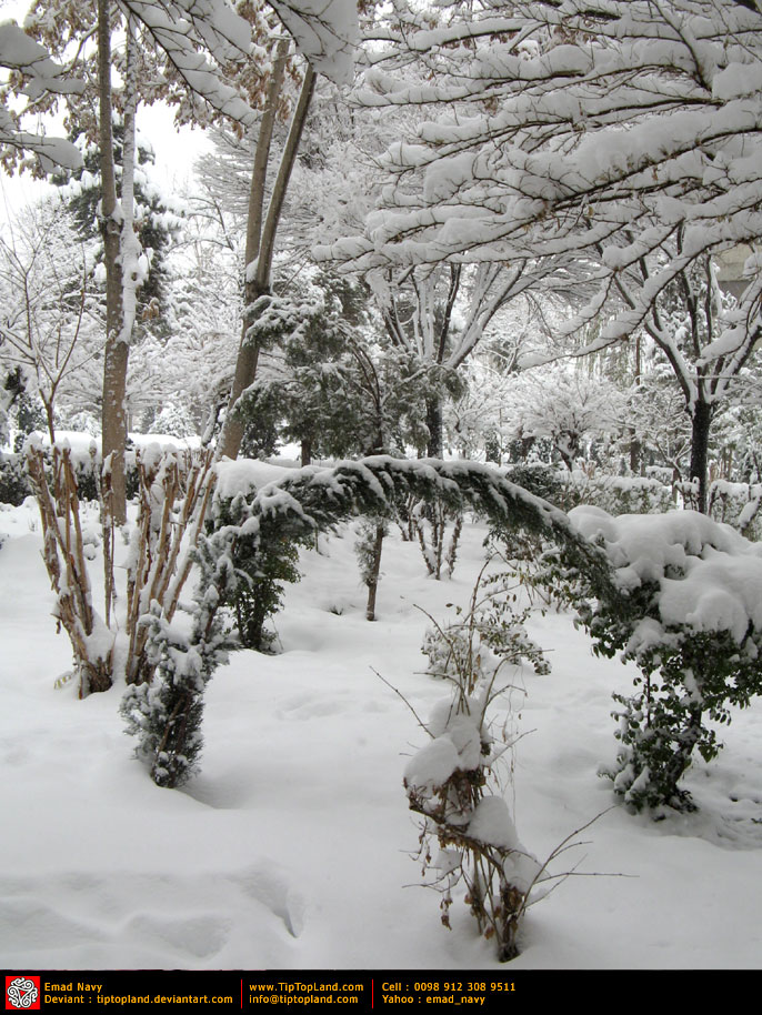 Winter in Tehran - Ekbatan 4