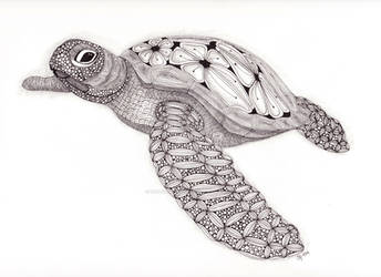 Tangled Sea Turtle