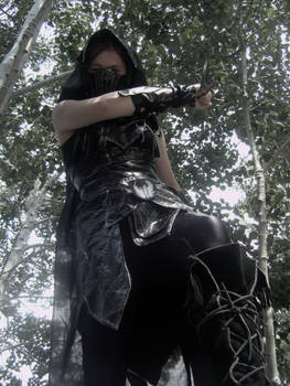 Death from Above--Skyrim Cosplay