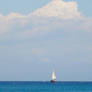 Sailboat on the water