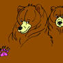 Bear Sketches