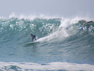 Surfers