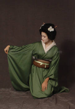 Geisha 4