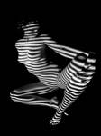 1386 Zebra Woman Nude Stipe Series by artonline