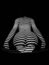 1249 Zebra Woman Rear View by artonline