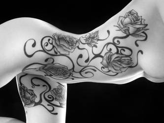 3682a BW 13 Black Roses on a Beautiful Young Woman by artonline