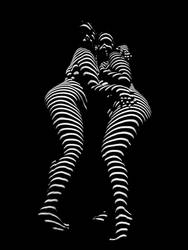 1570-TND Two Big Beautiful Zebra Women by artonline
