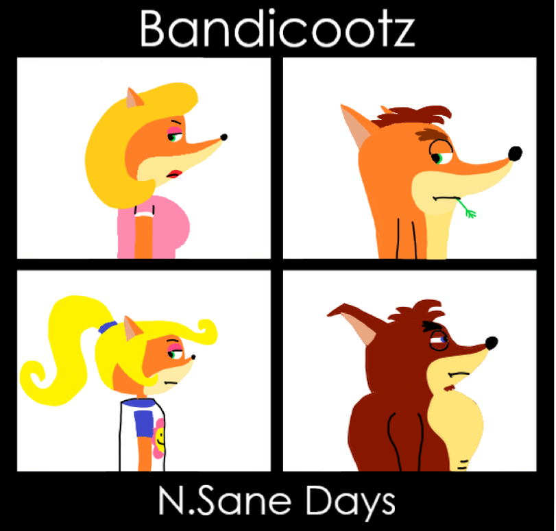 N.Sane Days