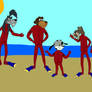 The Sea Dogs in Wetsuits
