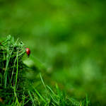 how old are you? by skeety