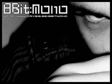 8Bit:mono 2