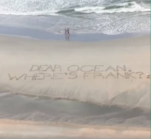 Dear Ocean, Where's Frank?