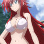 Rias in a bikini