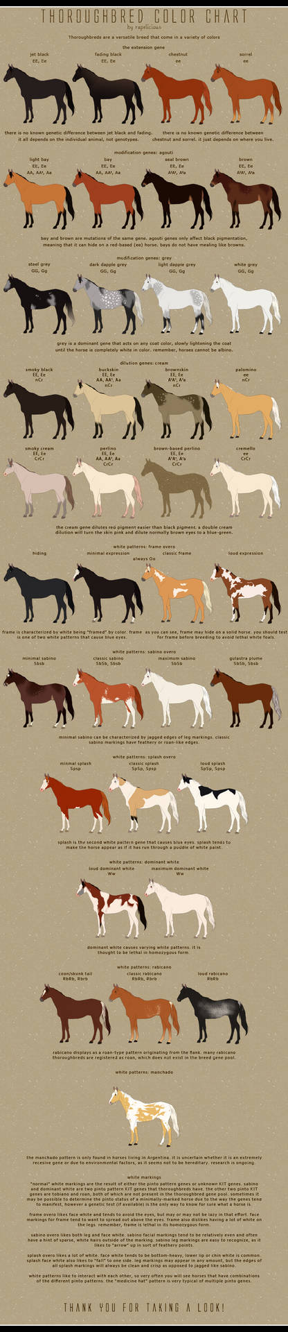 Thoroughbred Color Chart by Prongy on DeviantArt