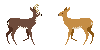 Deer Kiss Icons *FIXED?*