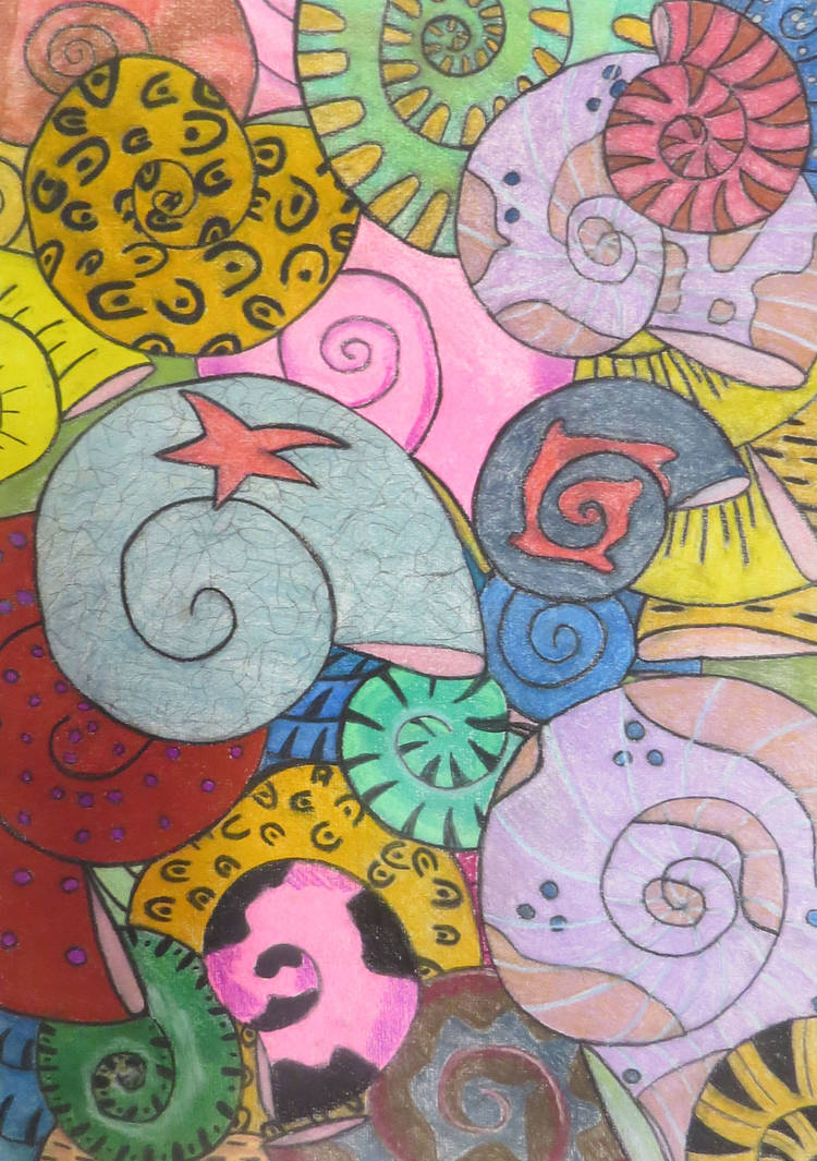 Collection of Shells by craftsoft on DeviantArt