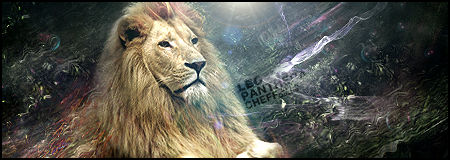 Lion signature