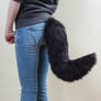 Curved Canine Tail