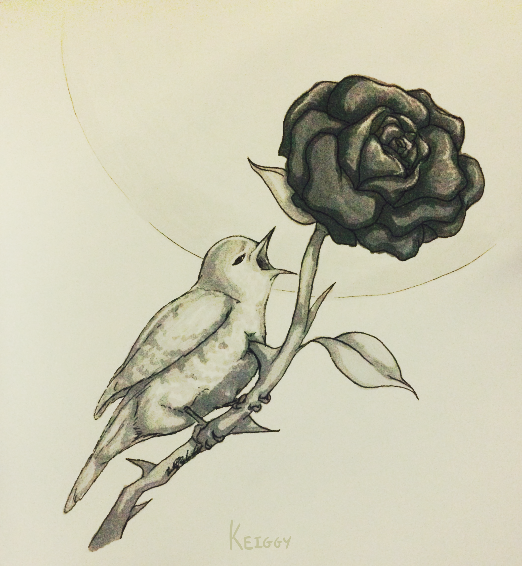 The Nightingale And The Rose By Keiggy On Deviantart
