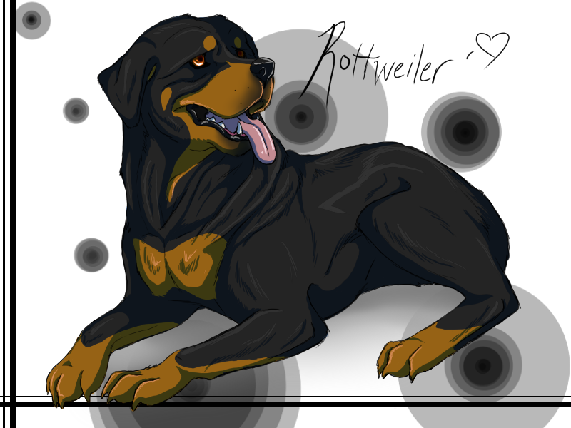 Rottweiler