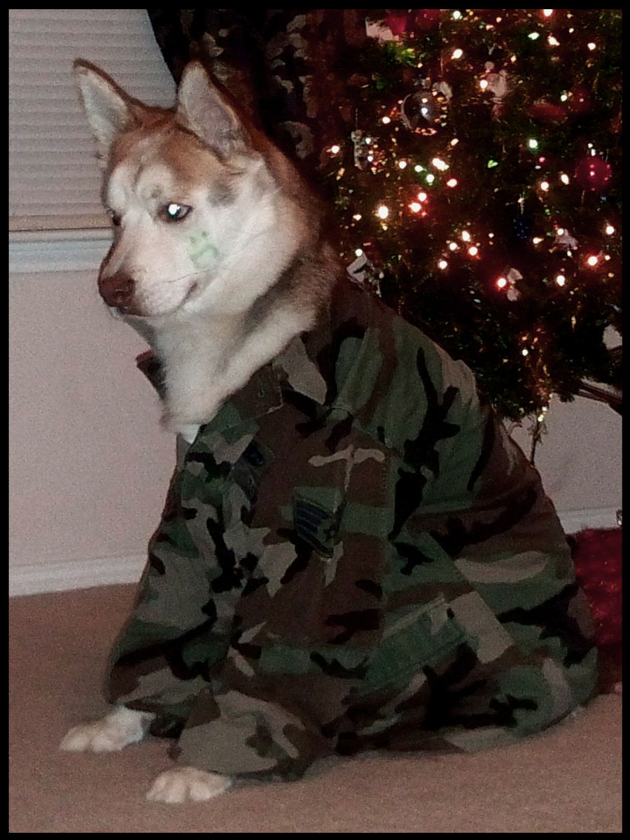 Sgt. George at the Tree