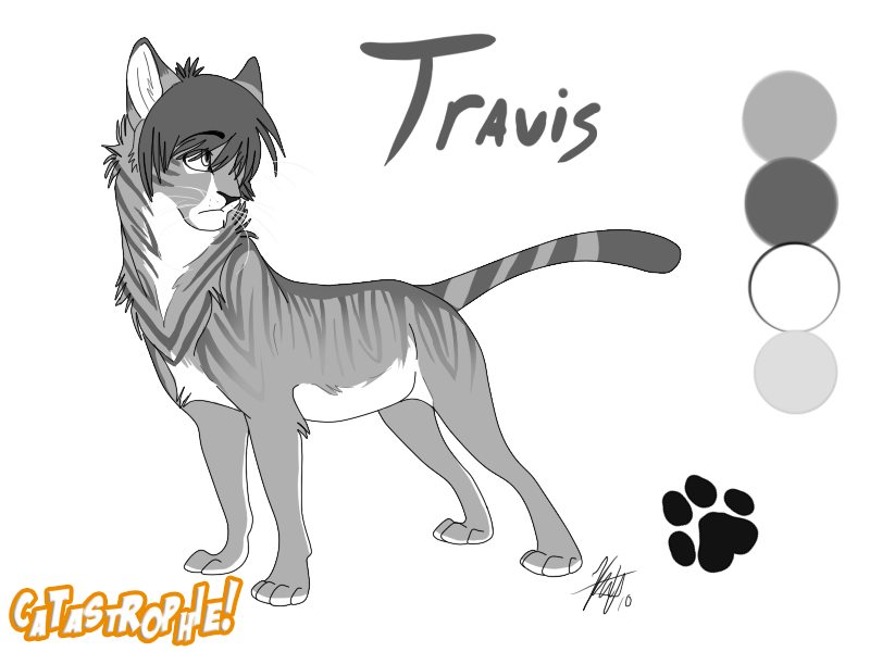 Travis Reference Sheet