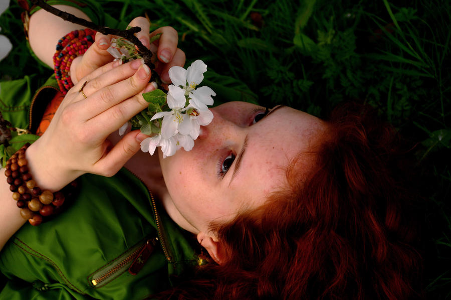 Under the blossom tree