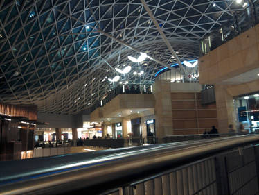 Golden terraces 1