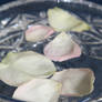 Pastel