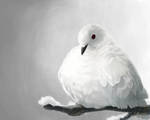 White as Winter by delira