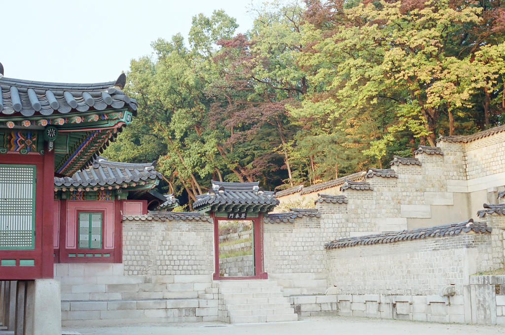 Changdeokgung Palace: Interior Grounds III by neuroplasticcreative