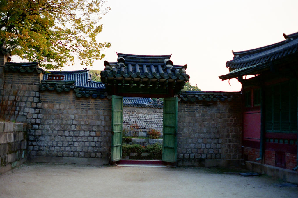 Changdeokgung Palace: Interior Grounds IV by neuroplasticcreative