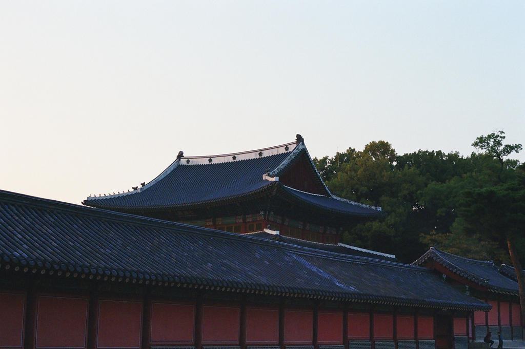 Changdeokgung Palace: Rooftop at Dusk by neuroplasticcreative