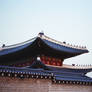 Changdeokgung Palace: Rooftop Guardians