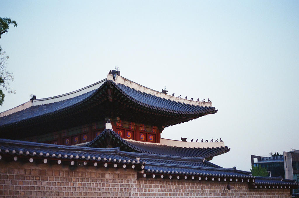 Changdeokgung Palace: Rooftop Guardians by neuroplasticcreative