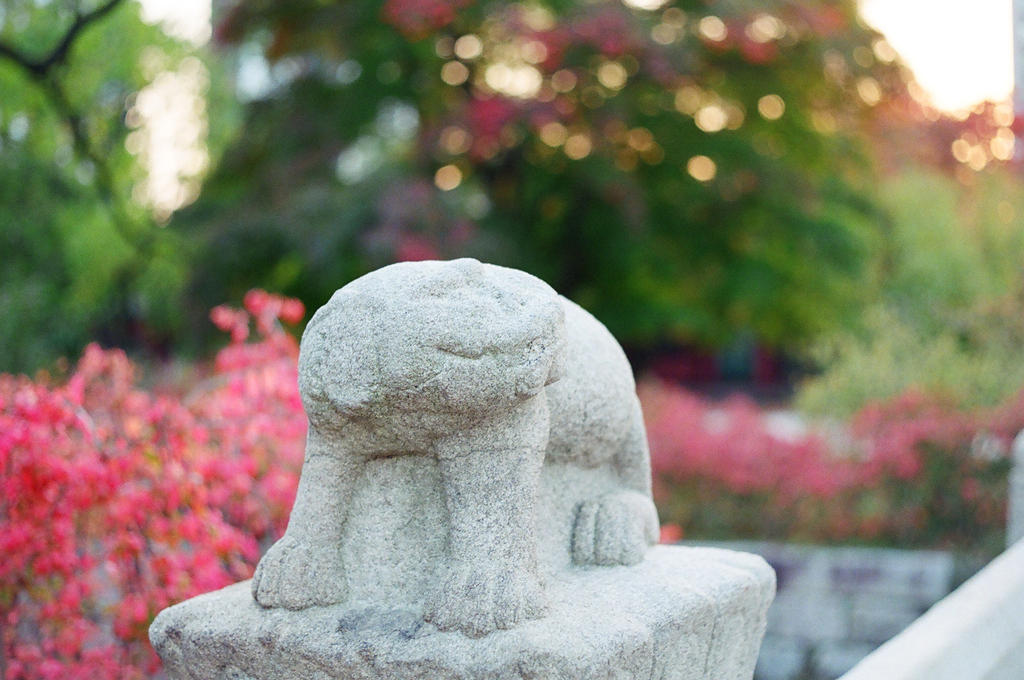 Changdeokgung Palace: Palace Guardian by neuroplasticcreative