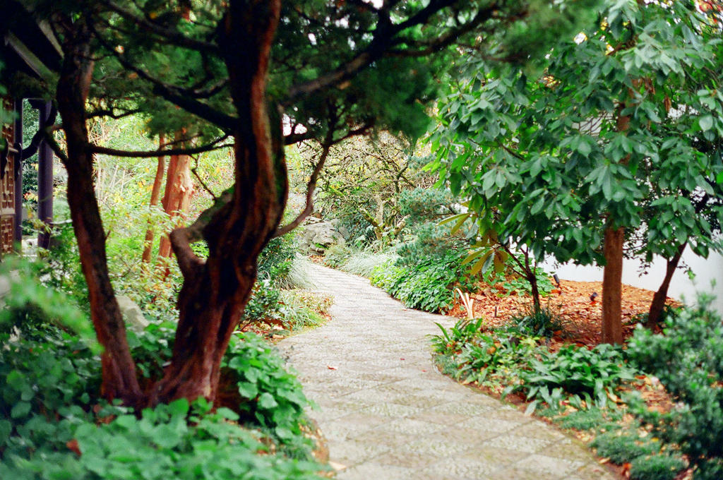 Lan Su: Path Inward by neuroplasticcreative