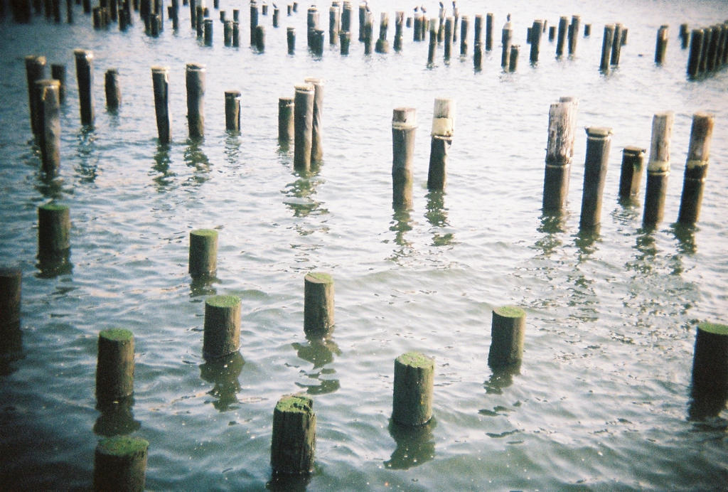 Brooklyn in Color: Sticks 'n' Stones, I by neuroplasticcreative