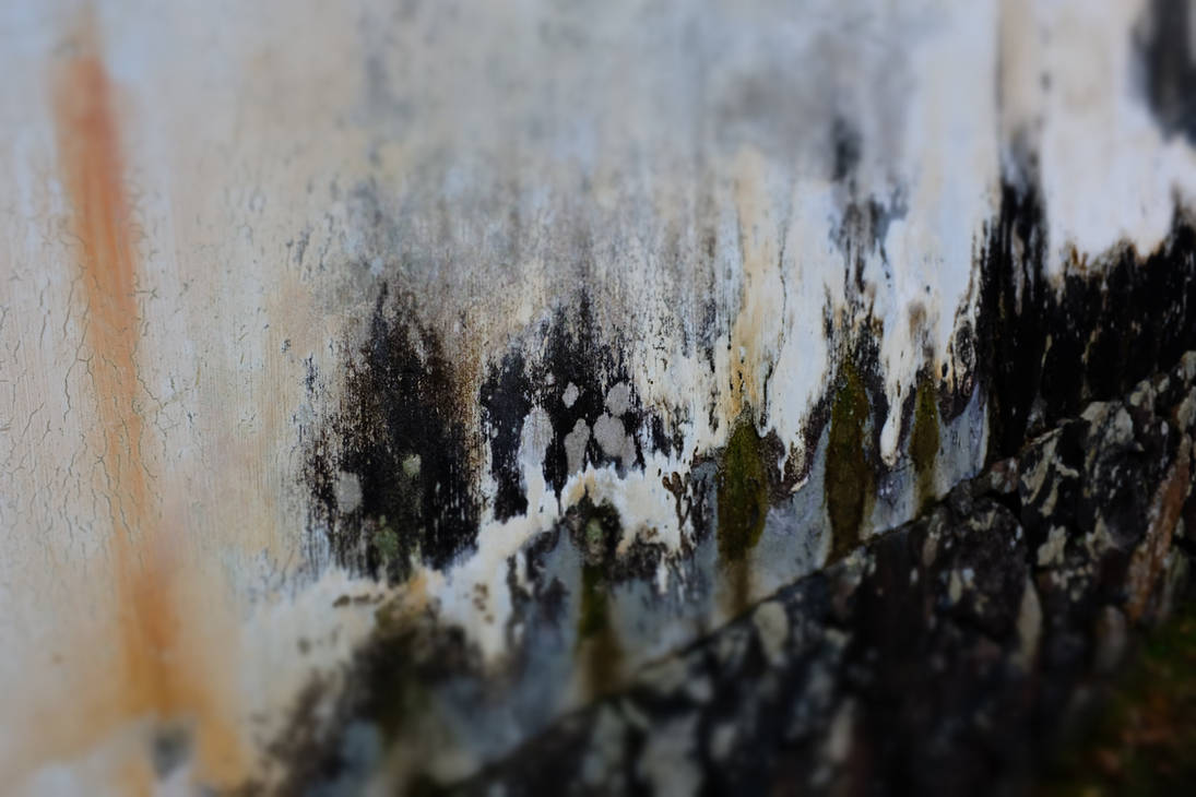 Nara Textures: Sink, II by neuroplasticcreative on DeviantArt