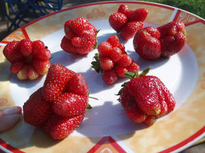 very deformed strawberries